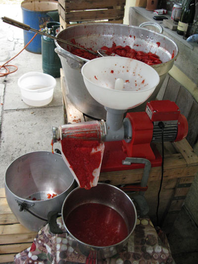 Passata di pomodoro