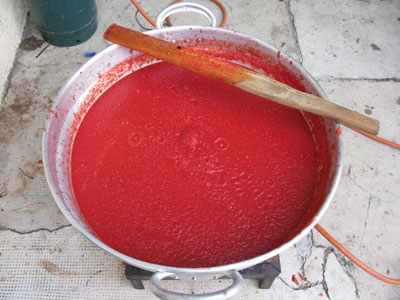 Passata di pomodoro