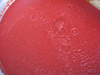 Passata concentrata