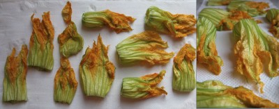 Fiori di zucca lavati