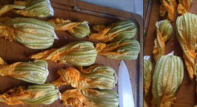 riempi i fiori di zucca