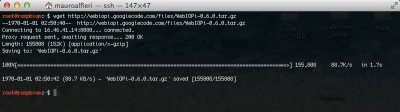 webiopi raspberry wget