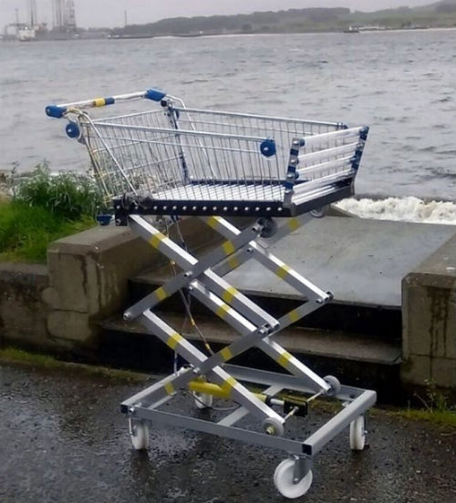 robotic shopping trolley