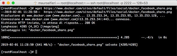 Docker Edit container docker wget image
