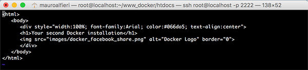 Docker container share dir html vi edit second