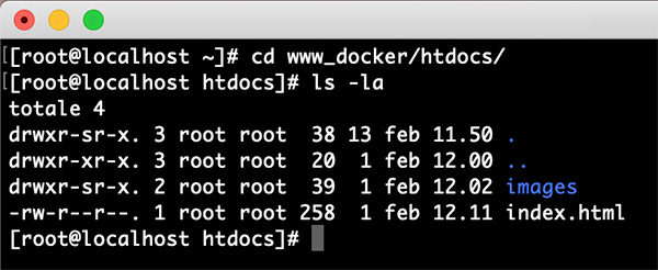 Docker containers share dir show dir