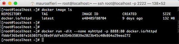 Docker run ls image httpd