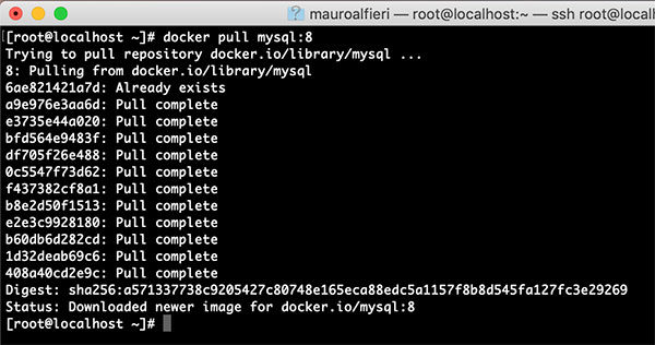 Wordpress MySql Docker containers get mysql