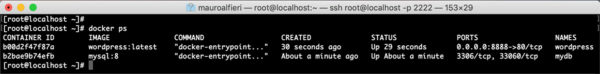 Wordpress MySql Docker containers ps containers
