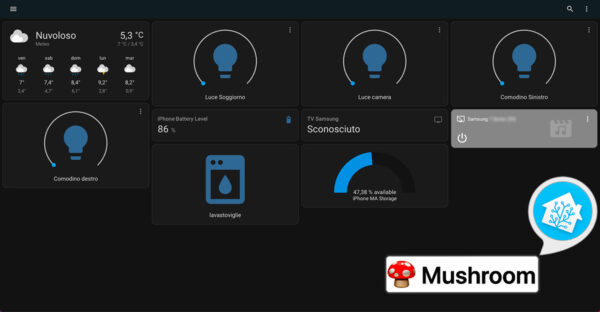 HomeAssistant Mushroom install