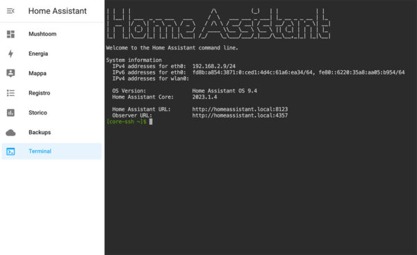 HomeAssistant ssh terminal