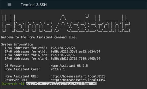 HomeAssistant ssh terminal wget hacs